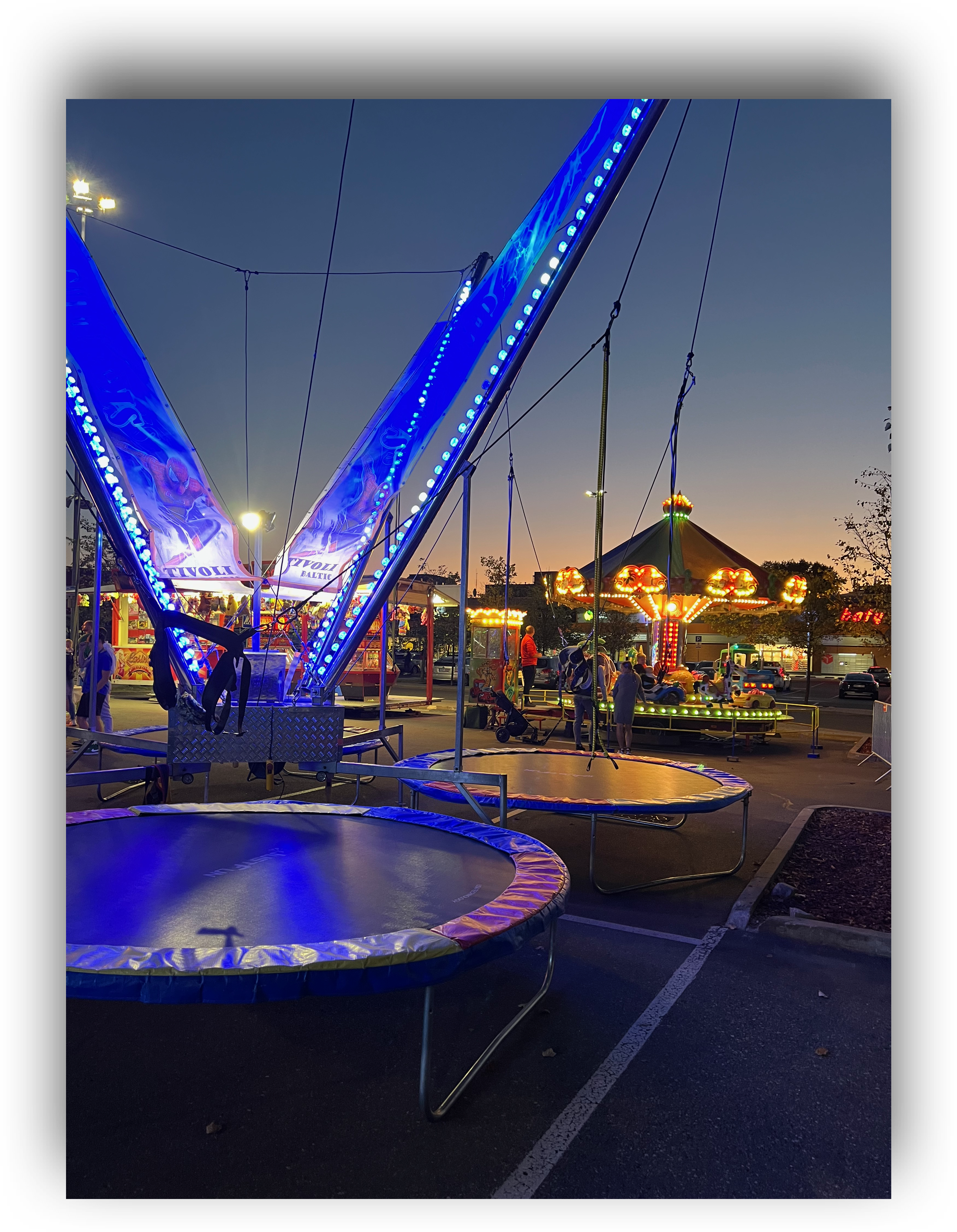 Mažoji šokdynė - nuotrauka 4